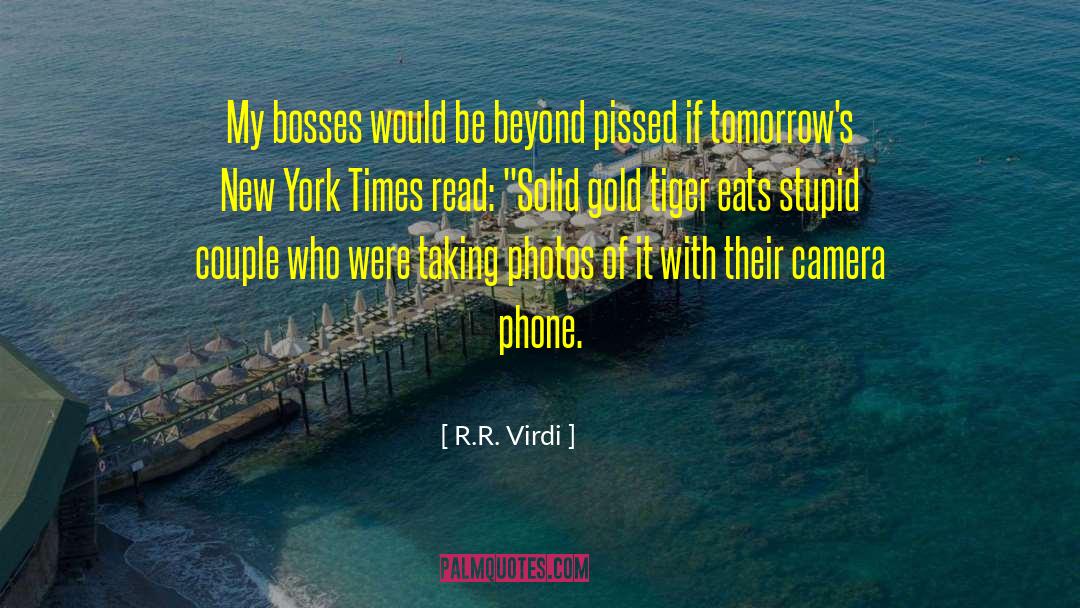 R.R. Virdi Quotes: My bosses would be beyond