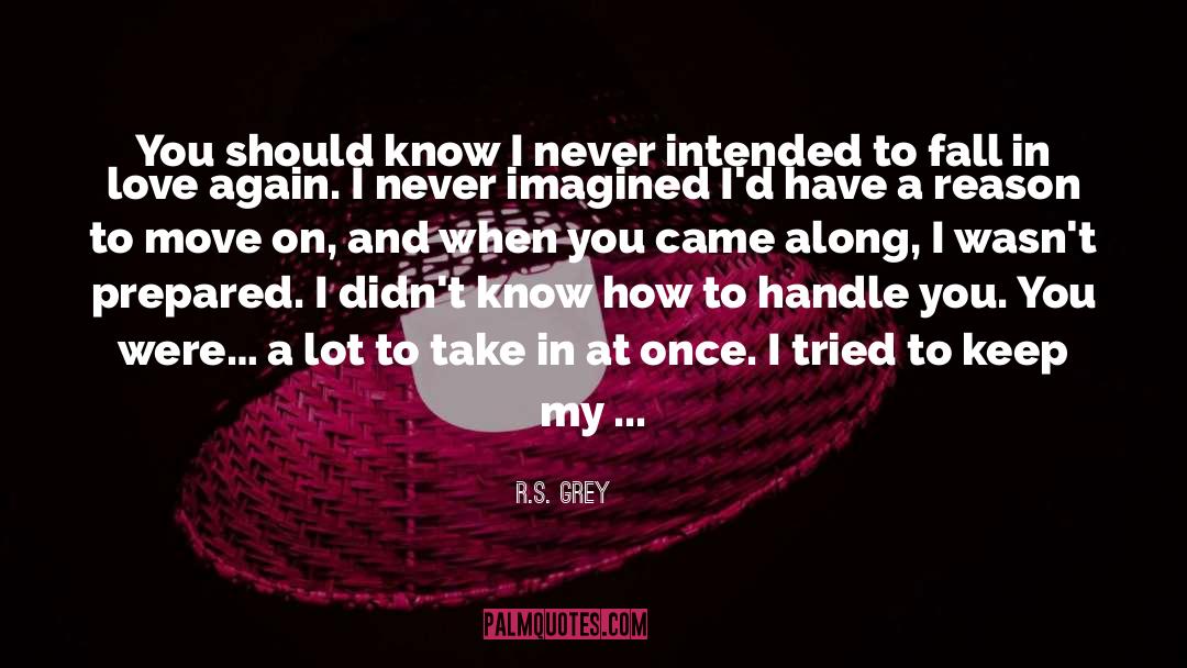 R.S. Grey Quotes: You should know I never