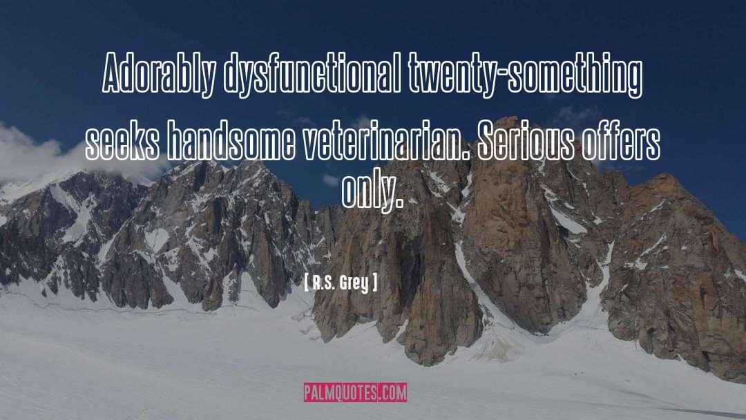 R.S. Grey Quotes: Adorably dysfunctional twenty-something seeks handsome