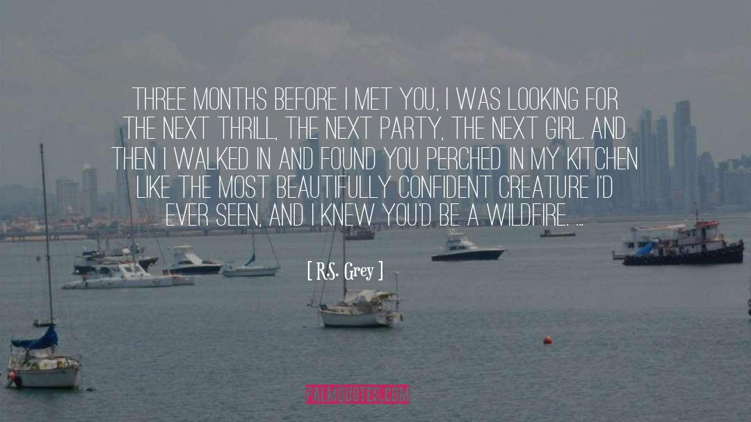 R.S. Grey Quotes: Three months before I met