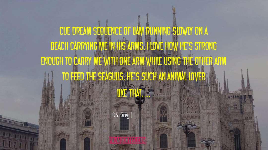 R.S. Grey Quotes: Cue dream sequence of Liam