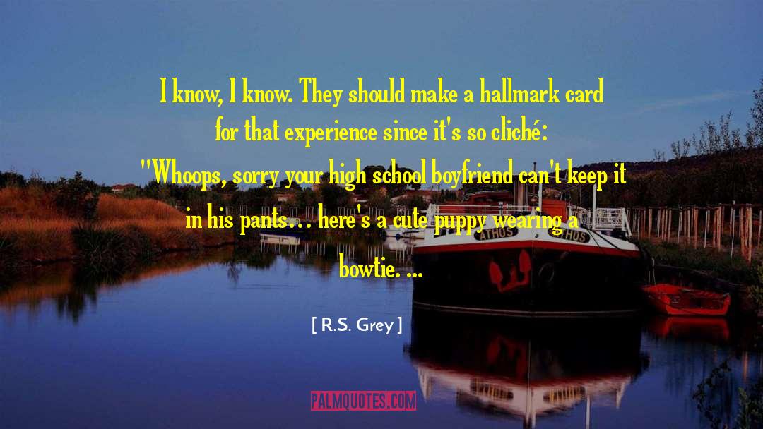 R.S. Grey Quotes: I know, I know. They