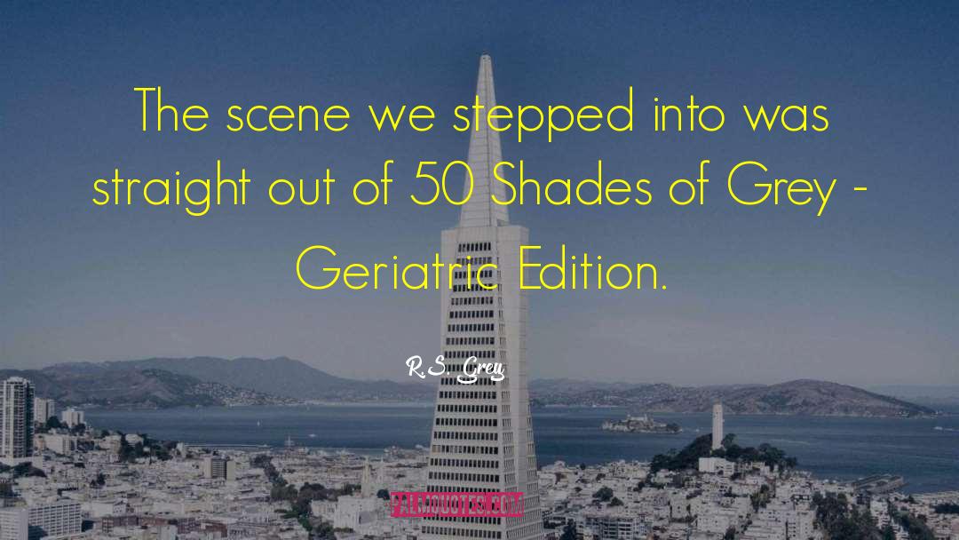 R.S. Grey Quotes: The scene we stepped into