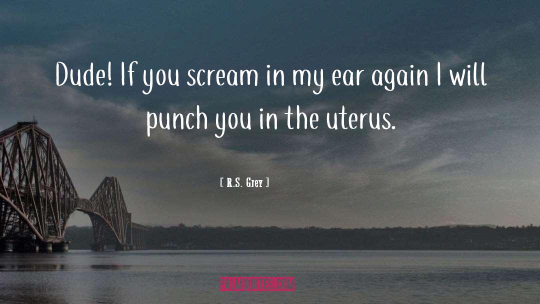 R.S. Grey Quotes: Dude! If you scream in