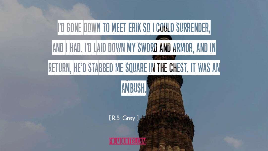 R.S. Grey Quotes: I'd gone down to meet