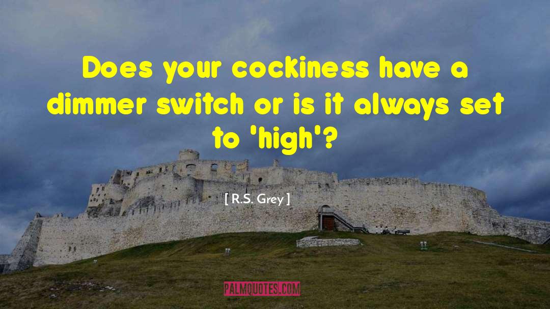 R.S. Grey Quotes: Does your cockiness have a