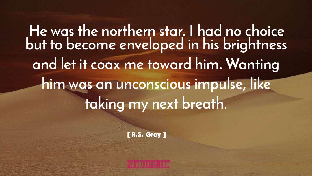 R.S. Grey Quotes: He was the northern star.