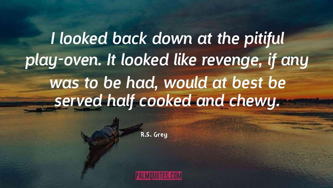 R.S. Grey Quotes: I looked back down at