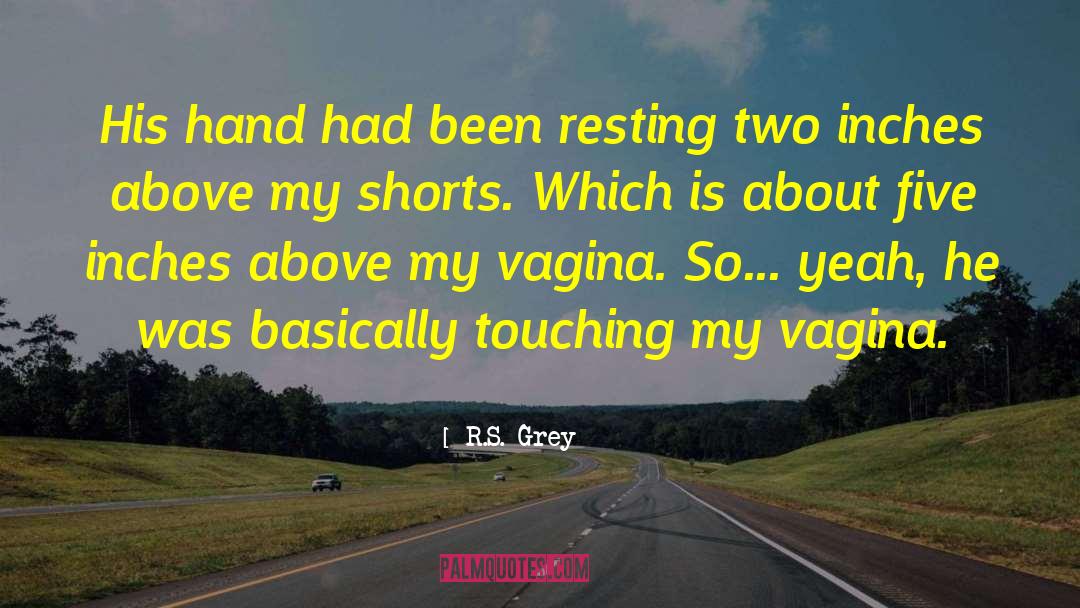R.S. Grey Quotes: His hand had been resting