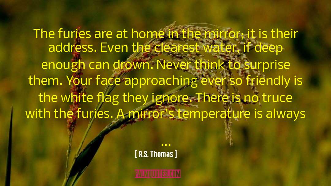 R.S. Thomas Quotes: The furies are at home