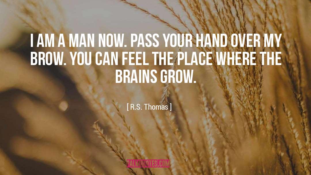 R.S. Thomas Quotes: I am a man now.