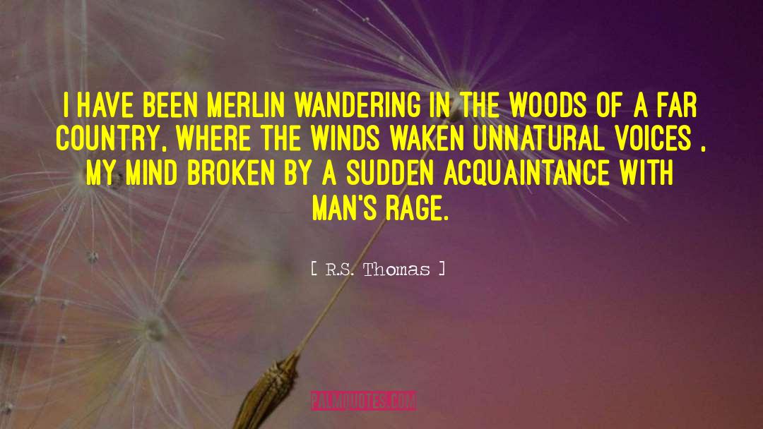 R.S. Thomas Quotes: I have been Merlin wandering