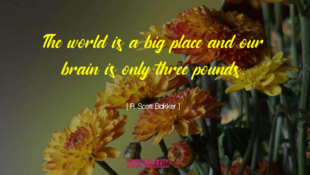 R. Scott Bakker Quotes: The world is a big