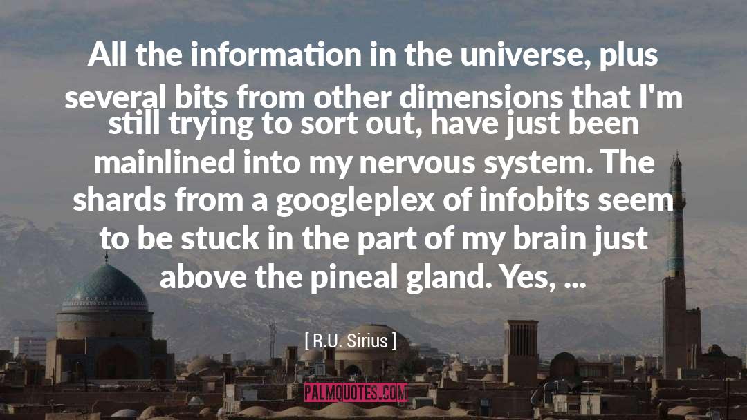 R.U. Sirius Quotes: All the information in the