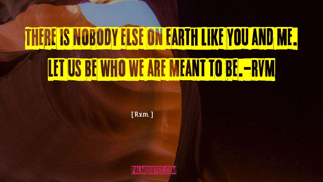 R.v.m. Quotes: There is nobody else on