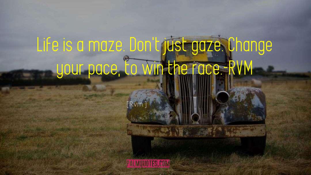 R.v.m. Quotes: Life is a maze. Don't