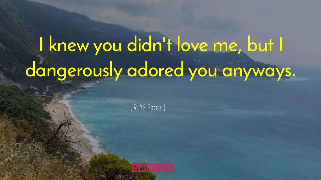 R. YS Perez Quotes: I knew you didn't love