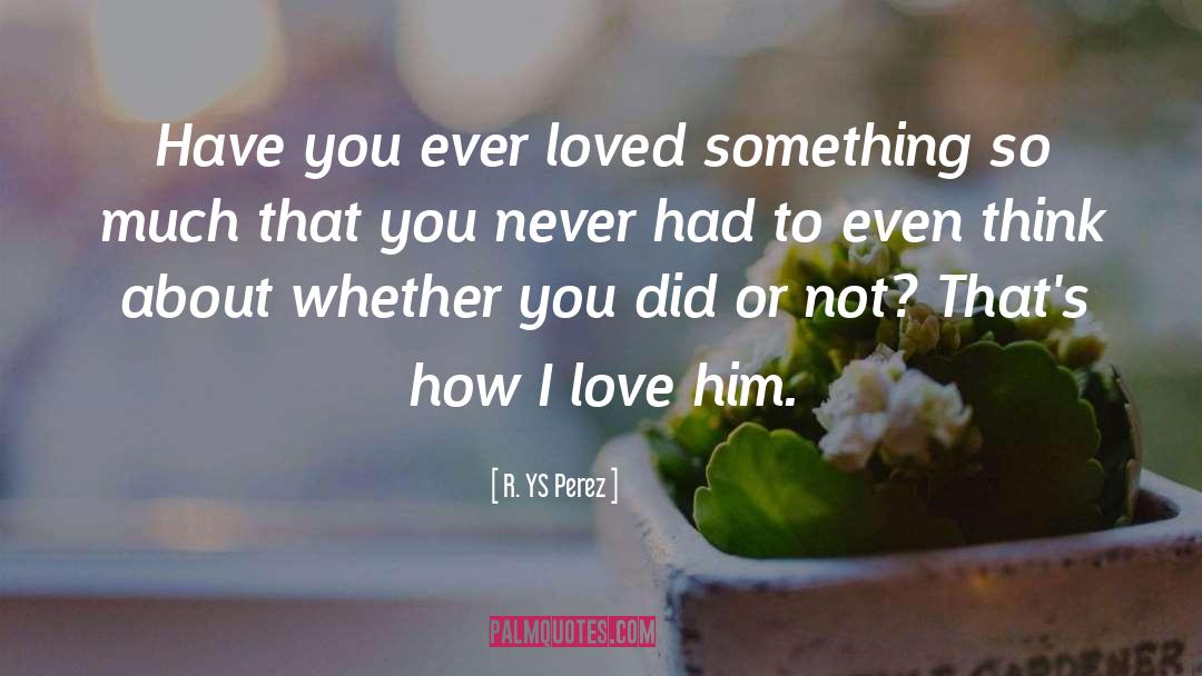 R. YS Perez Quotes: Have you ever loved something