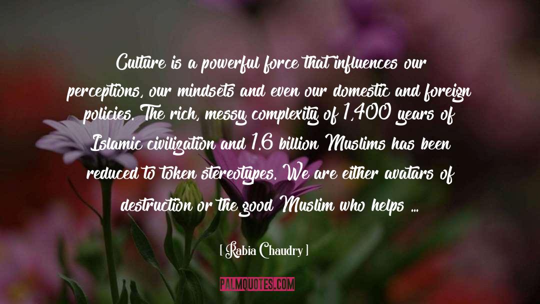 Rabia Chaudry Quotes: Culture is a powerful force