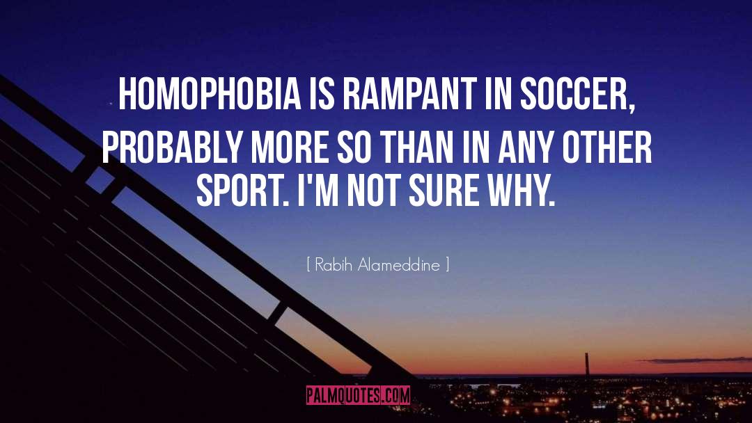Rabih Alameddine Quotes: Homophobia is rampant in soccer,