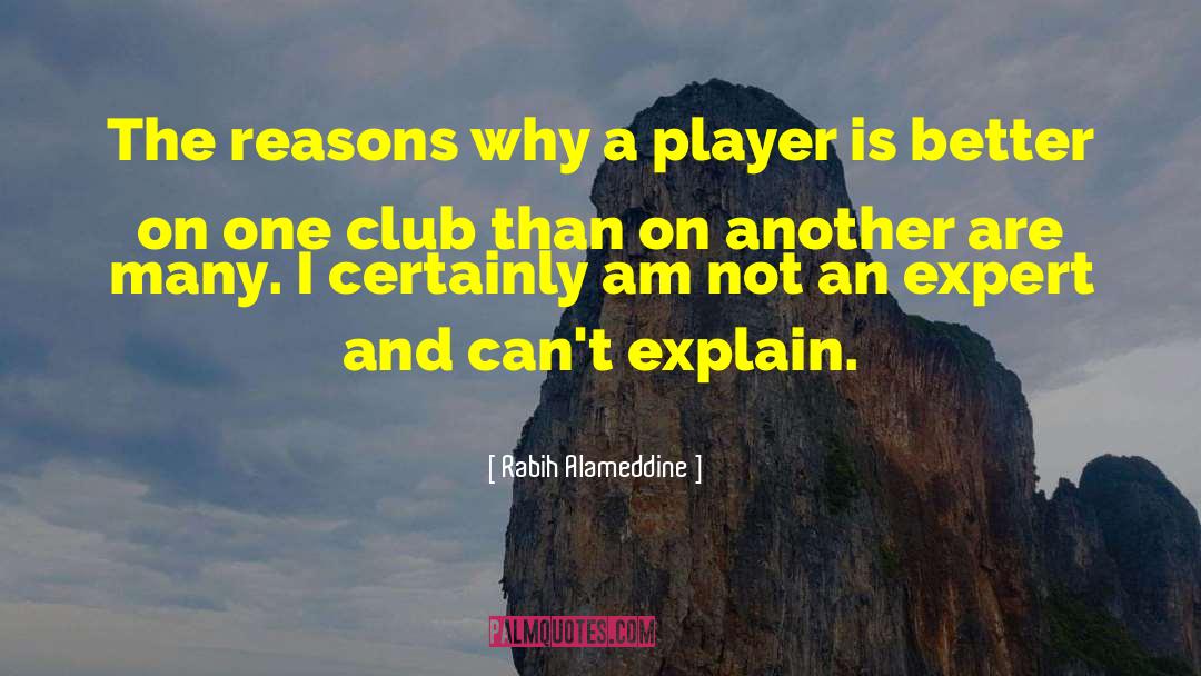 Rabih Alameddine Quotes: The reasons why a player