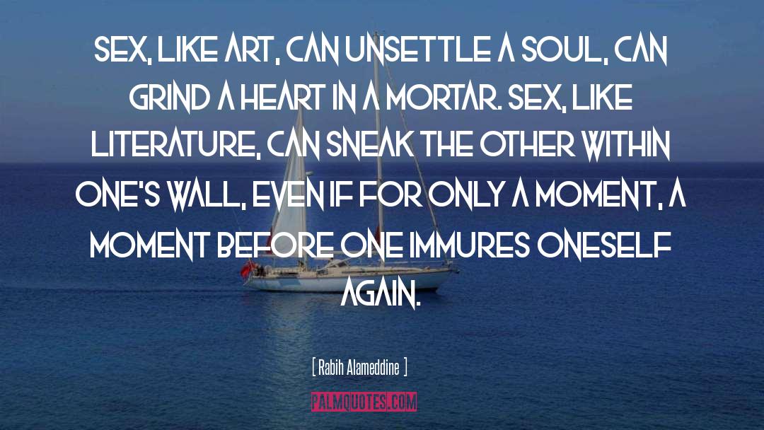 Rabih Alameddine Quotes: Sex, like art, can unsettle