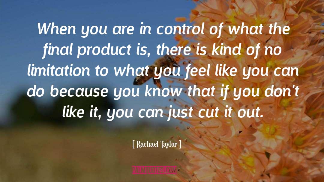 Rachael Taylor Quotes: When you are in control