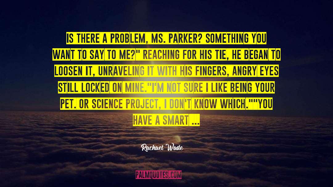 Rachael Wade Quotes: Is there a problem, Ms.