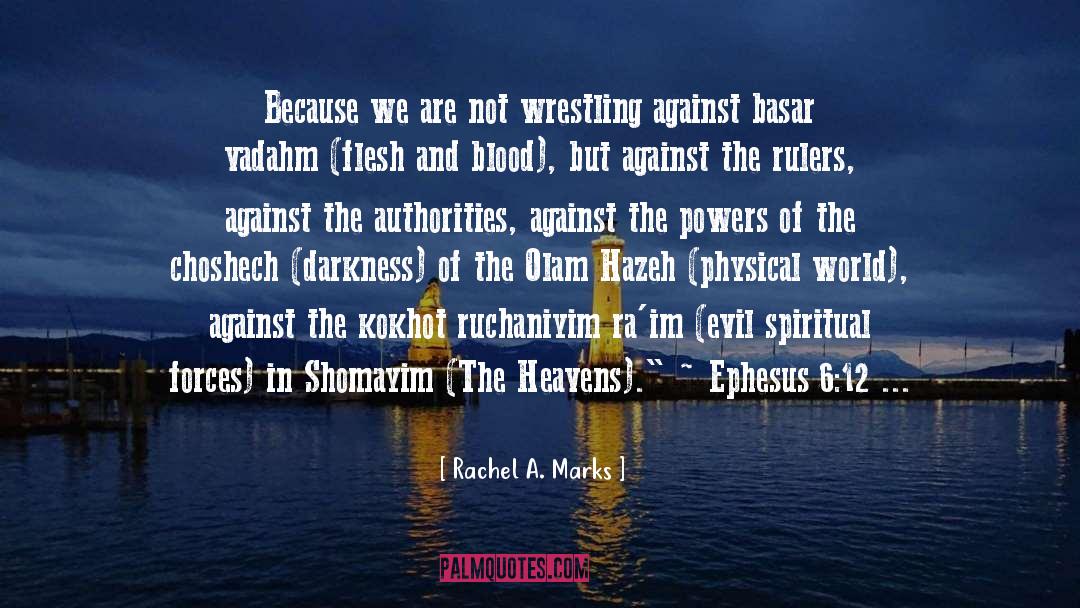 Rachel A. Marks Quotes: Because we are not wrestling