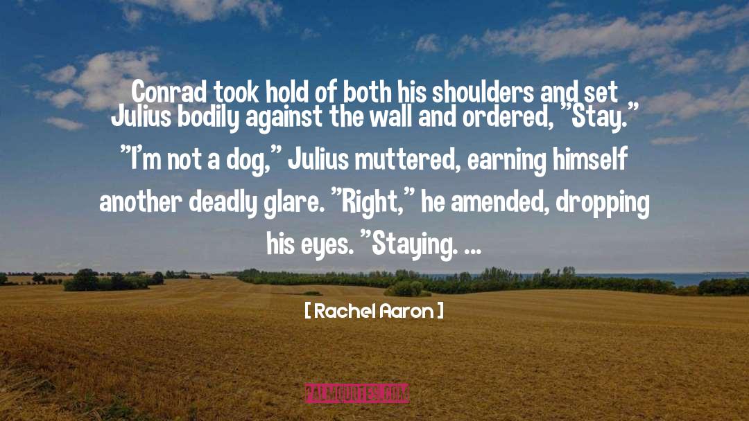 Rachel Aaron Quotes: Conrad took hold of both