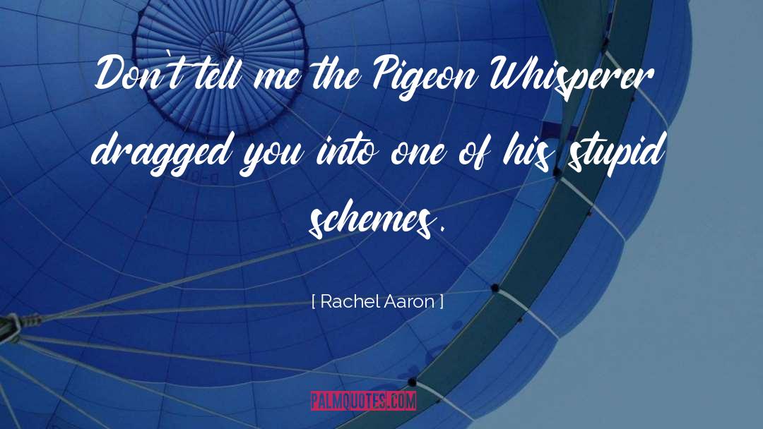 Rachel Aaron Quotes: Don't tell me the Pigeon