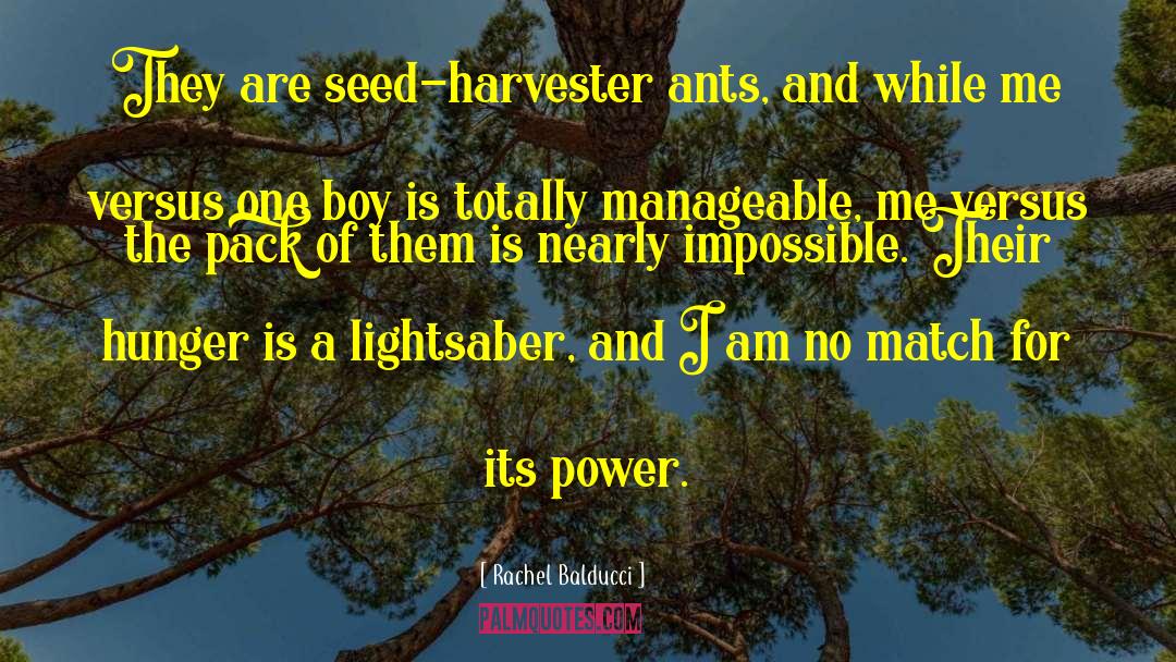 Rachel Balducci Quotes: They are seed-harvester ants, and
