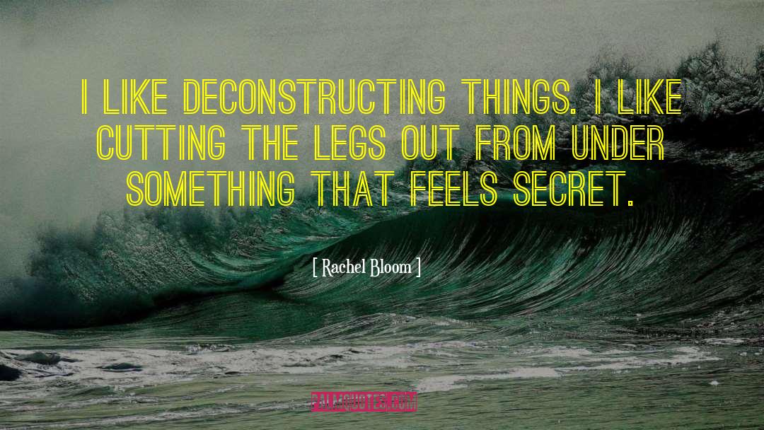 Rachel Bloom Quotes: I like deconstructing things. I
