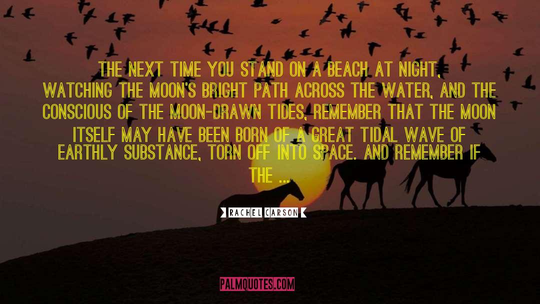 Rachel Carson Quotes: The next time you stand