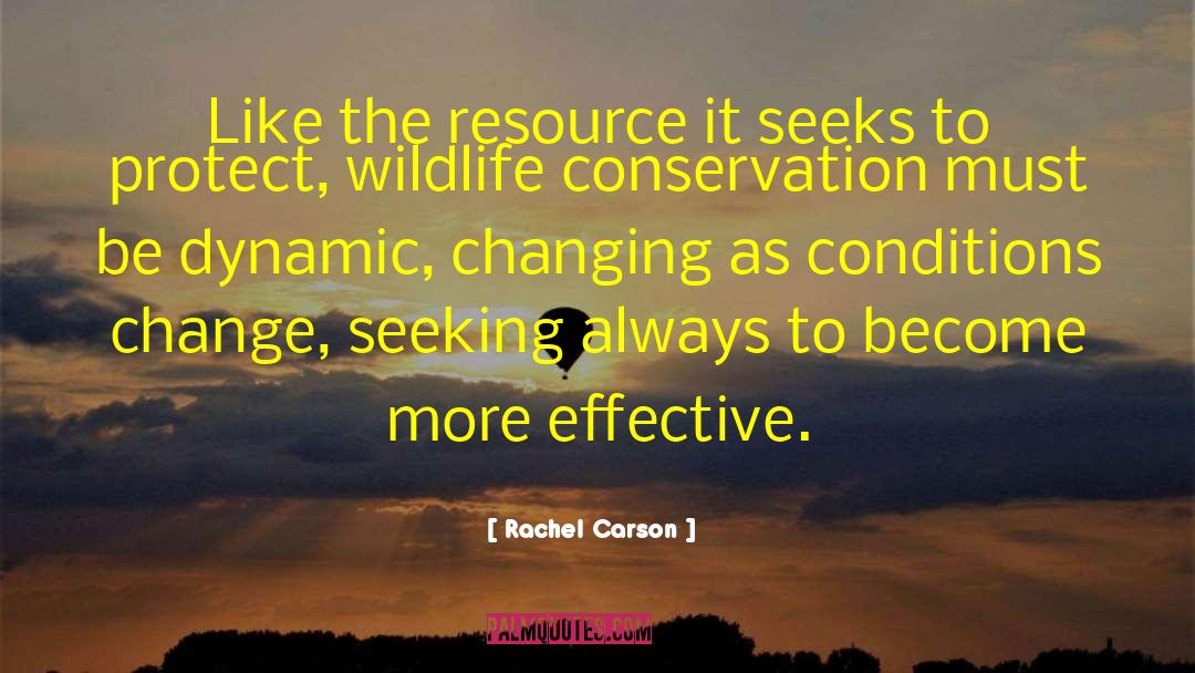 Rachel Carson Quotes: Like the resource it seeks