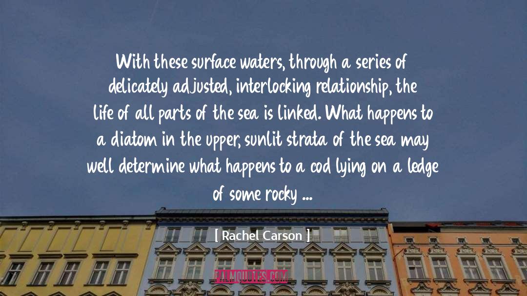 Rachel Carson Quotes: With these surface waters, through