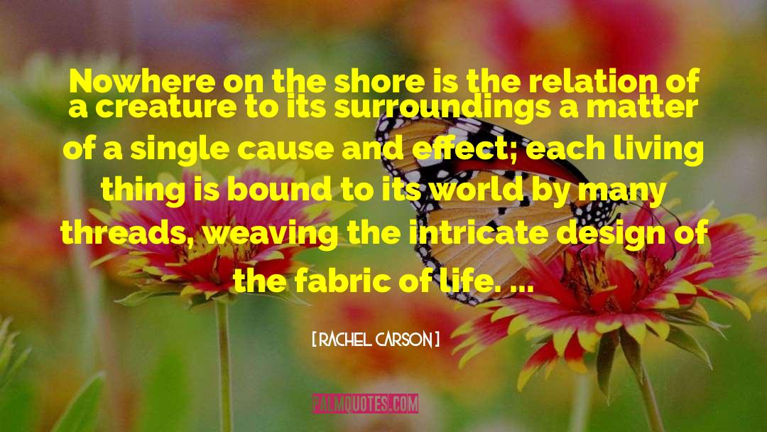 Rachel Carson Quotes: Nowhere on the shore is