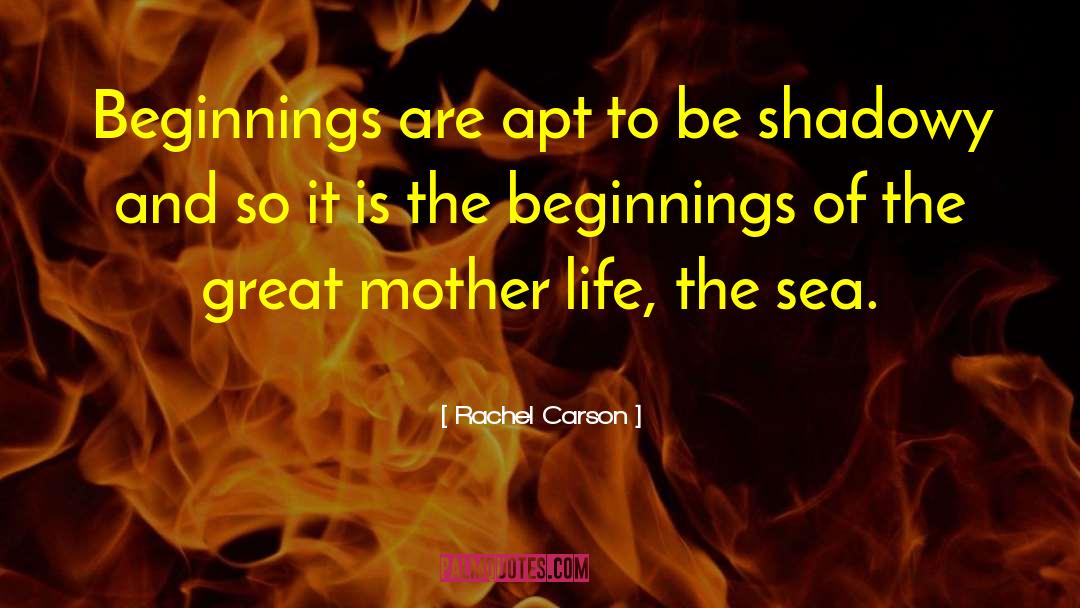 Rachel Carson Quotes: Beginnings are apt to be