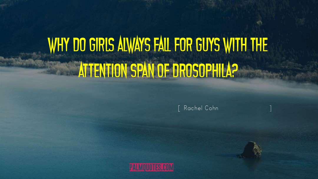 Rachel Cohn Quotes: Why do girls always fall