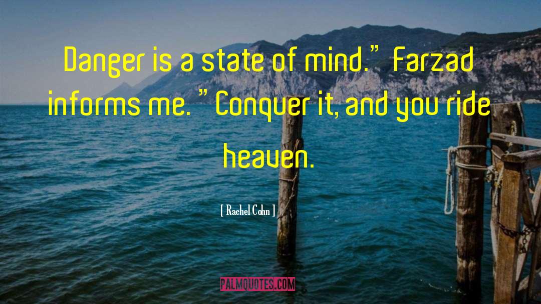 Rachel Cohn Quotes: Danger is a state of