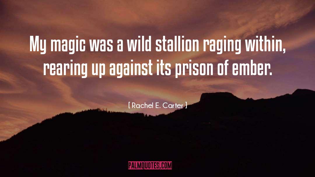 Rachel E. Carter Quotes: My magic was a wild