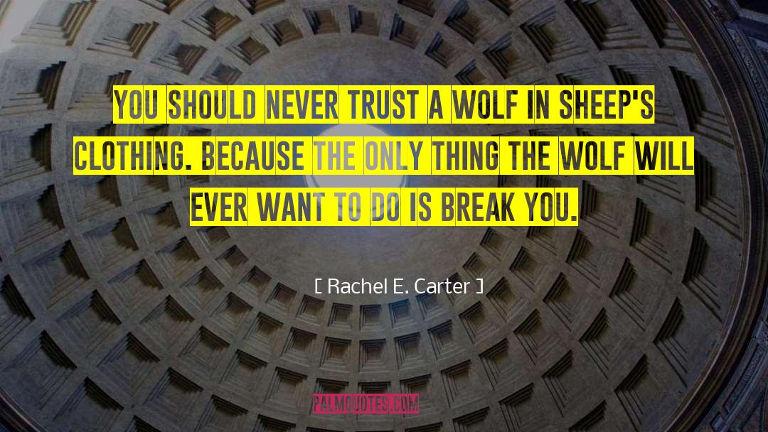 Rachel E. Carter Quotes: You should never trust a