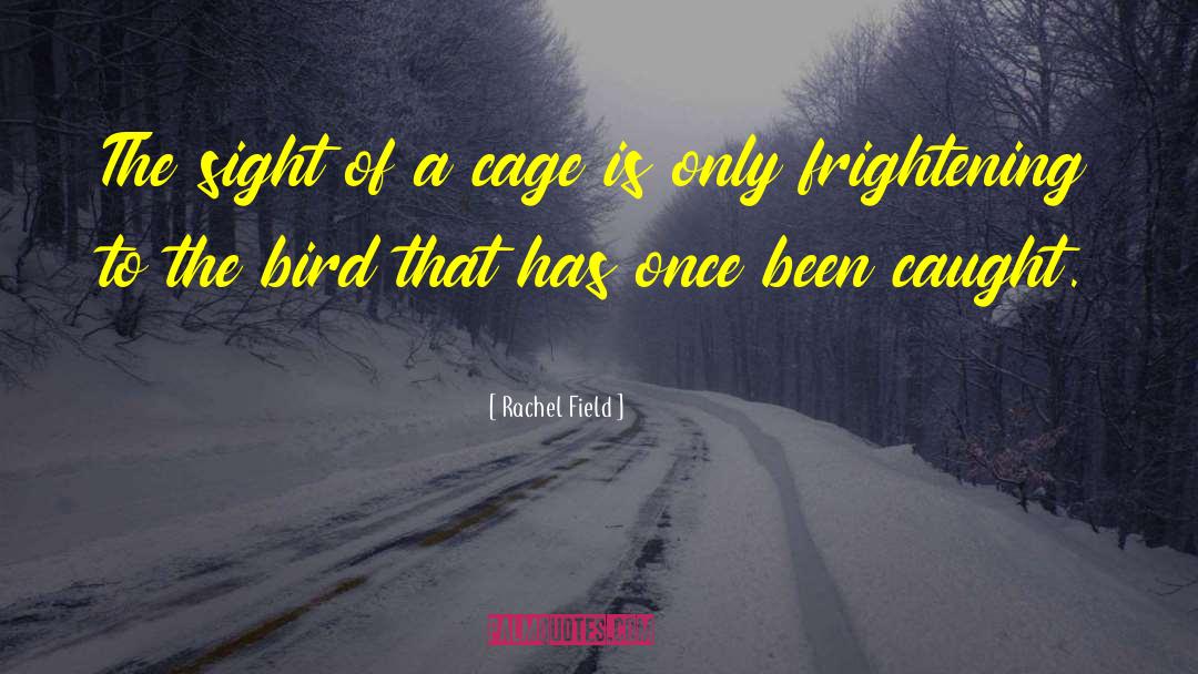 Rachel Field Quotes: The sight of a cage
