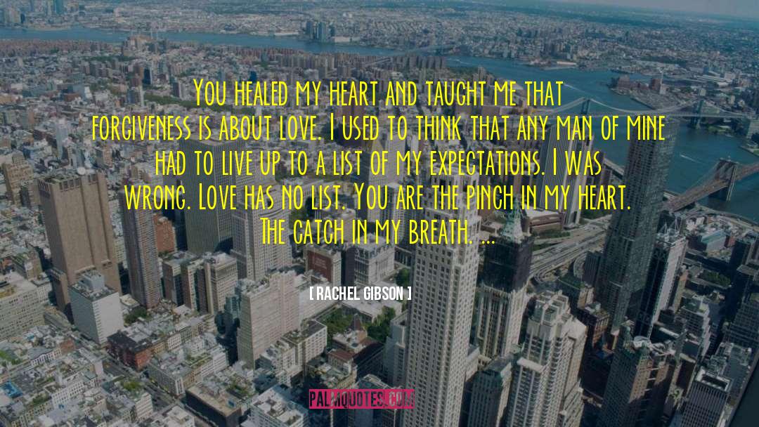 Rachel Gibson Quotes: You healed my heart and