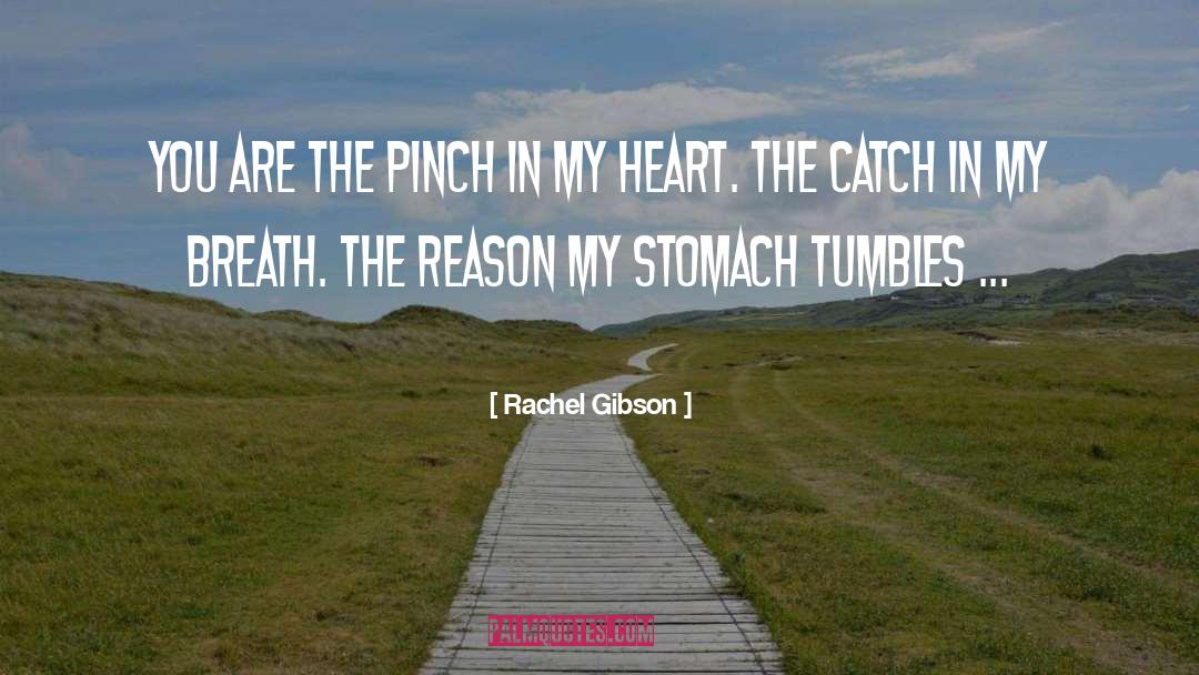 Rachel Gibson Quotes: You are the pinch in