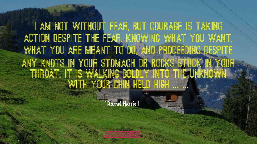 Rachel Harris Quotes: I am not without fear,