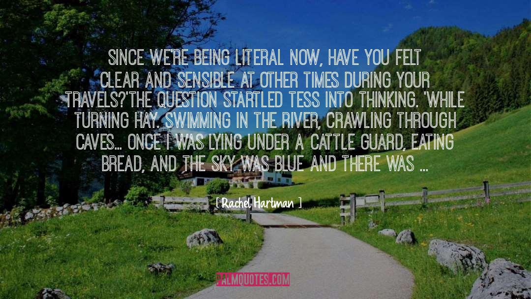Rachel Hartman Quotes: Since we're being literal now,