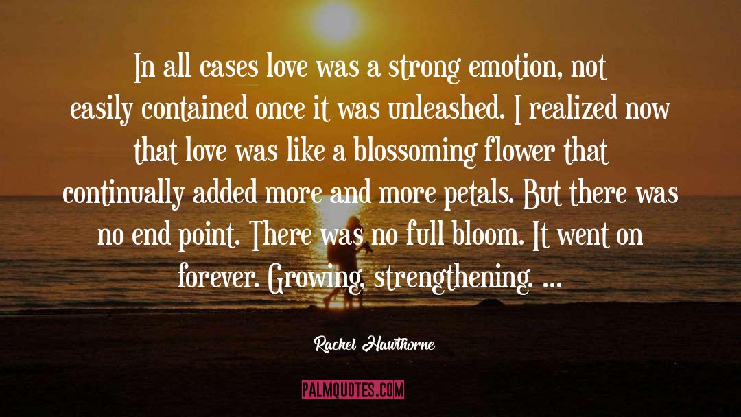 Rachel Hawthorne Quotes: In all cases love was