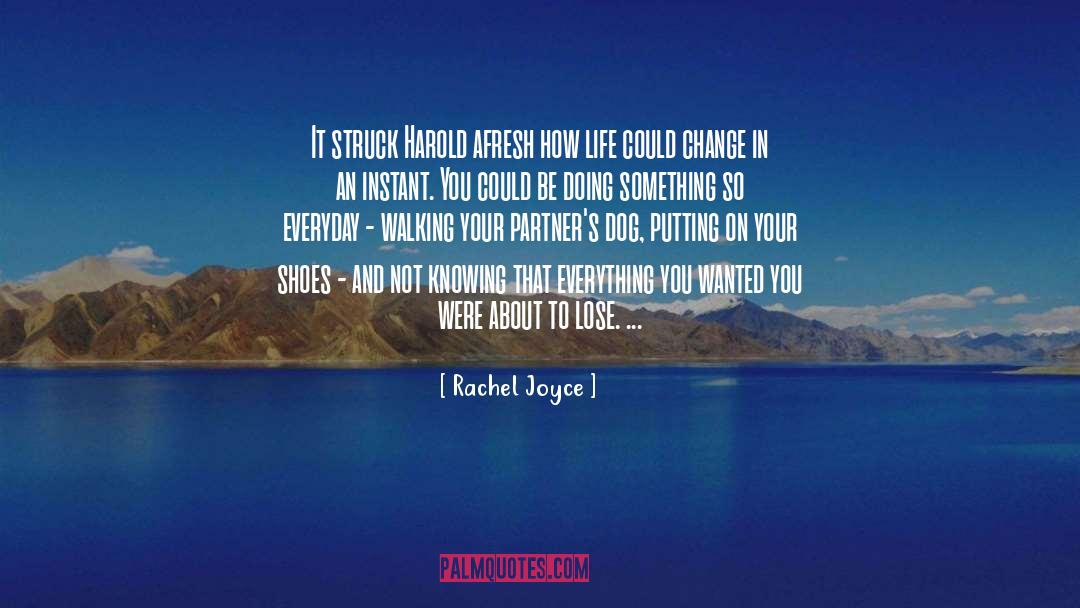 Rachel Joyce Quotes: It struck Harold afresh how