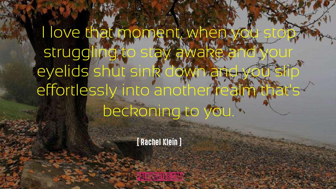 Rachel Klein Quotes: I love that moment, when